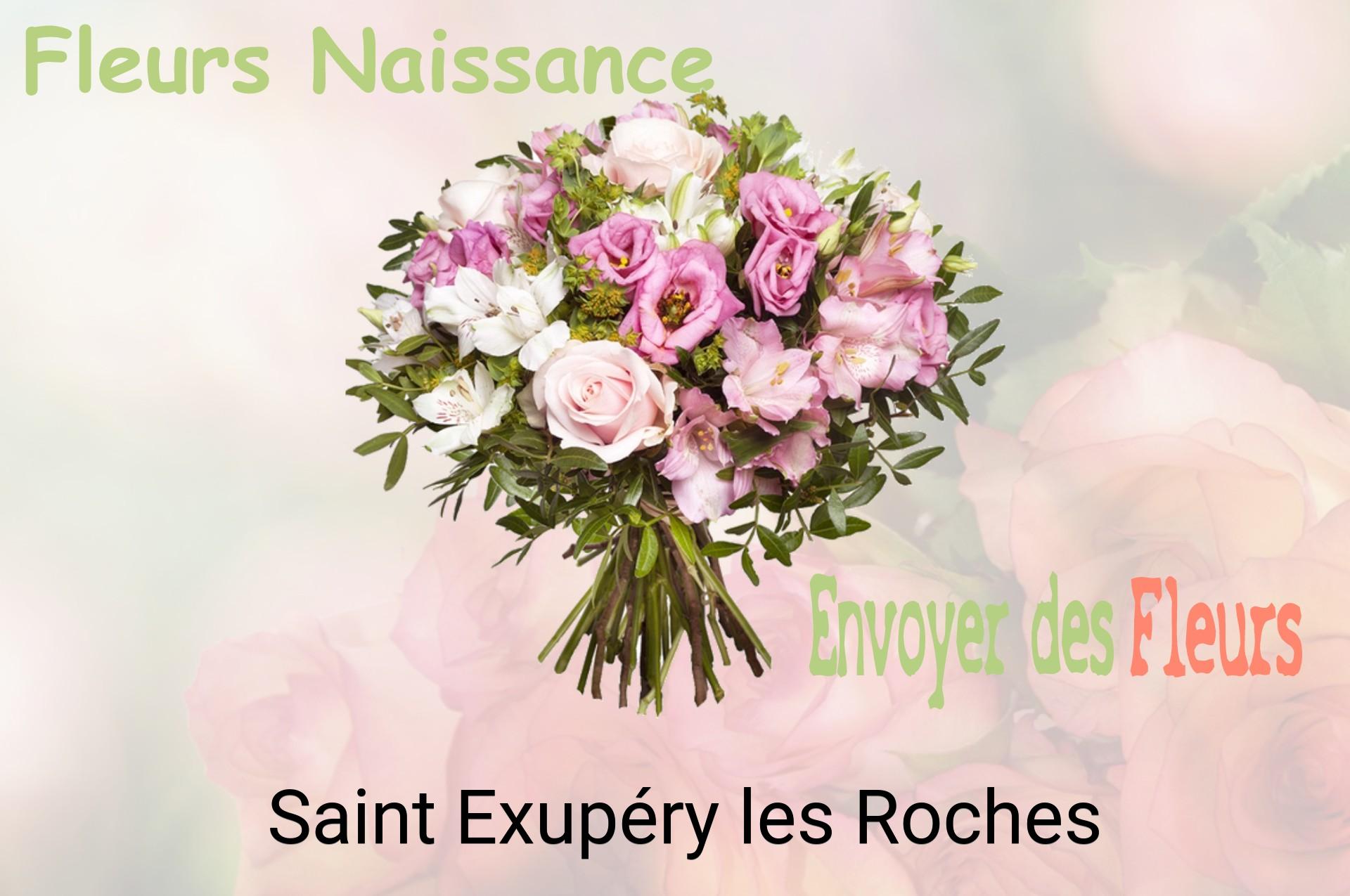 Bouquet de fleurs de naissance livré à Saint-Exupéry-les-Roches